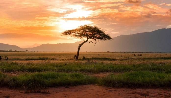 Photo of Kenya